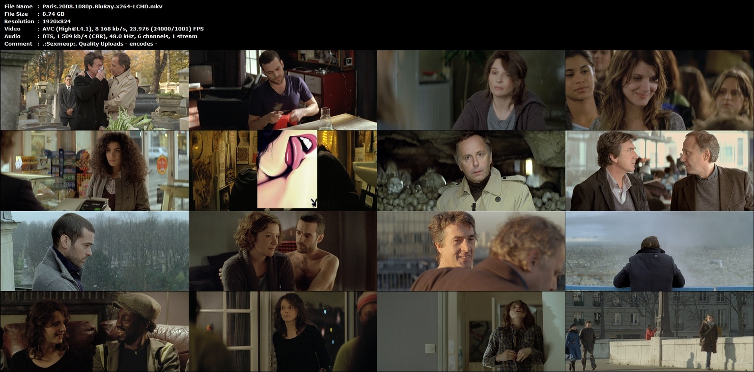 Paris.2008.1080p.BluRay.x264-LCHD.jpg